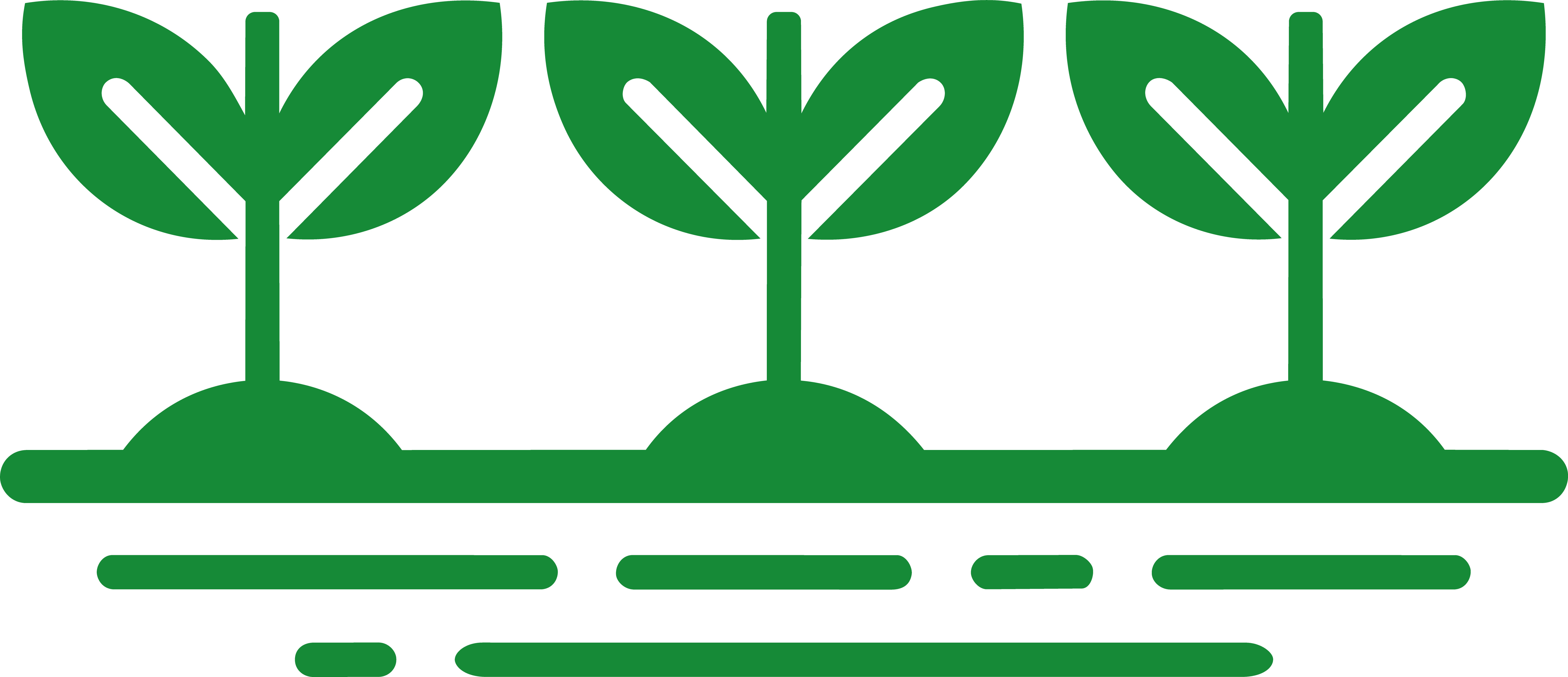 Horto Florestal Municipal